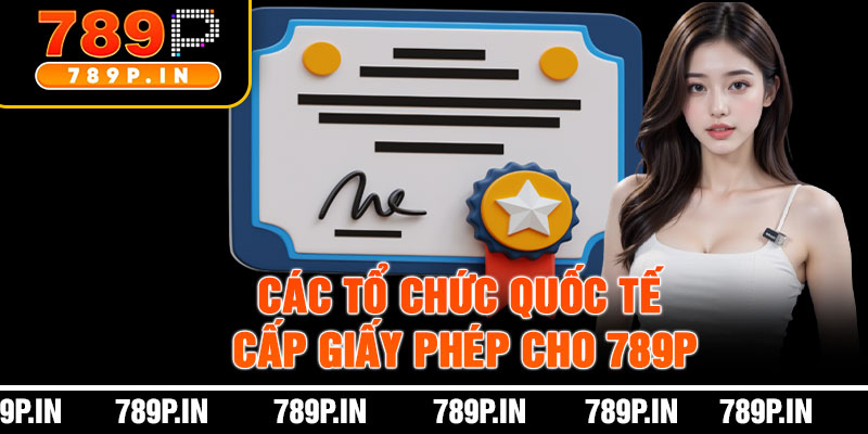 Các Tổ Chức Quốc Tế Cấp Giấy Phép Cho 789P