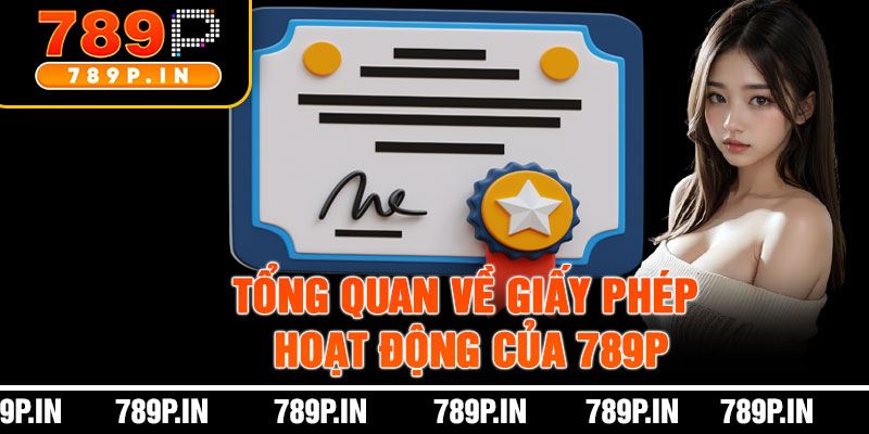 Tổng Quan Về Giấy Phép Hoạt Động Của 789P